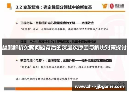 赵鹏解析欠薪问题背后的深层次原因与解决对策探讨 赵鹏解析欠薪问题背后的深层次原因与解决对策探讨